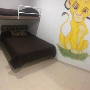 Economy Quadruple Room